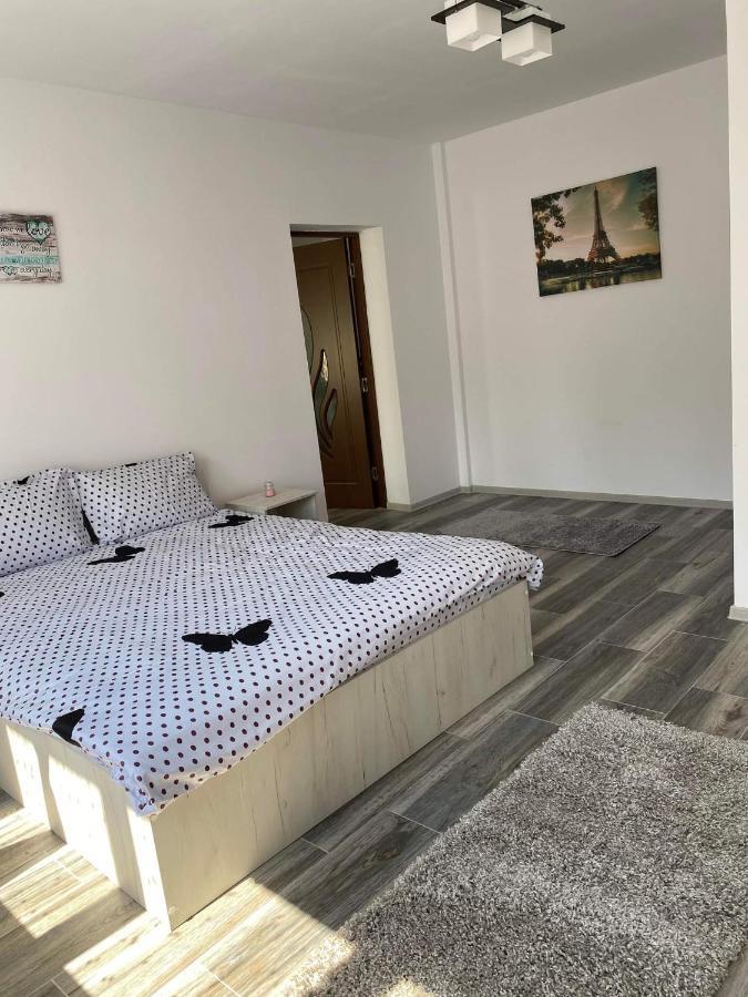 Dana Studio Tulcsa Kültér fotó